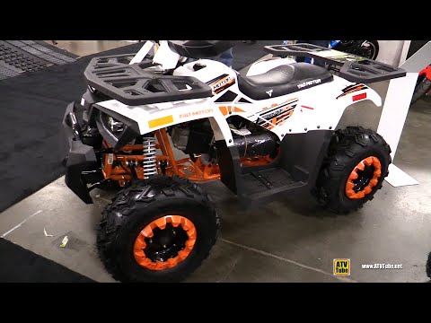 Tao Motor Raptor 200 2020 Recreational ATV - Walkaround Tour