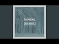Snowfall