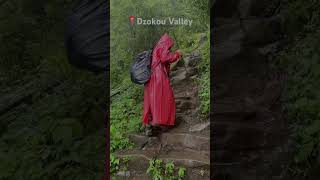 The head is in the clouds, the heart is in the mountains. #mountains #dzukouvalley  #trending #viral