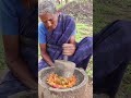 Oil Brinjal எண்ணெய் கத்தரிக்காய் Grandma Countryfoodcooking Sh