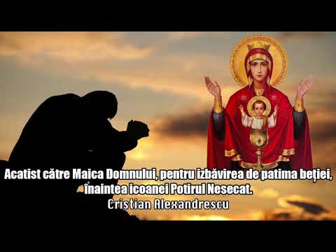 Akathist to the Mother of God, for Deliverance from the Passion of Drunkenness, Before the Icon o...