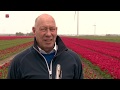 Tulpenroute dit jaar vanwege de coronacrisis zonder bezoekers