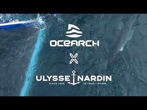 Ulysse Nardin | Andromache