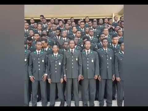 War hooy timir laf baa ku jirta