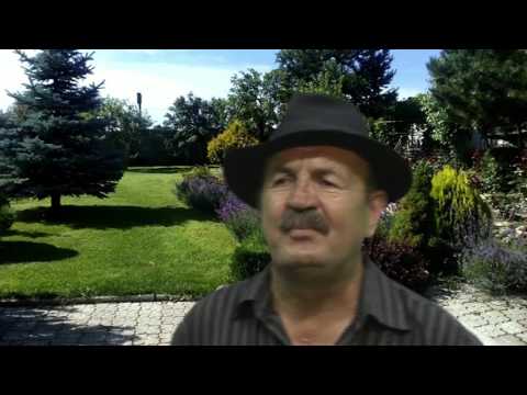 Stjepan Japec Japa - Zbjegovača, u srcu te nosim