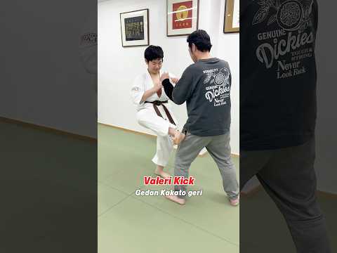 Valeri Kick / Gedan Kakato geriヴァレリーキック/下段踵蹴り #大谷道場 #空手 #kyokushin #karate #shorts #martialarts