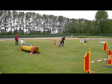 Merle jumping 31-05-2015