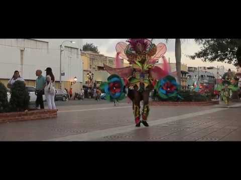 AKA CASTRO  - Dominicano ( Video Oficial )