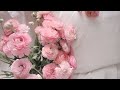 𝒫laylist Repeated By TRILLIONS Of Times