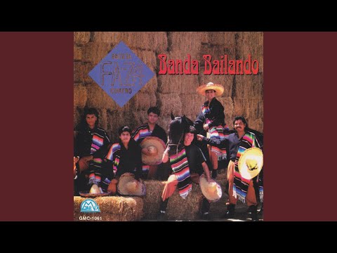 La Sombra Del Gato Negro