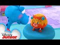 Get Your Pet To The Vet Doc McStuffins Disney Junior