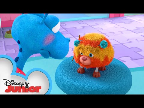 Take Your Pet to the Vet ? | Doc McStuffins | Disney Junior