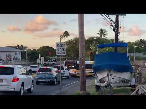 Bus 35 was on Route 234 this morning