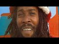 Big Youth- Survival Plan 432Hz