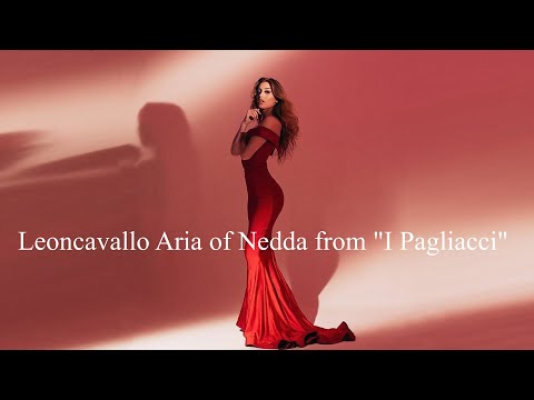 Leoncavallo Aria of Nedda from "Pagliacci" (4k)
