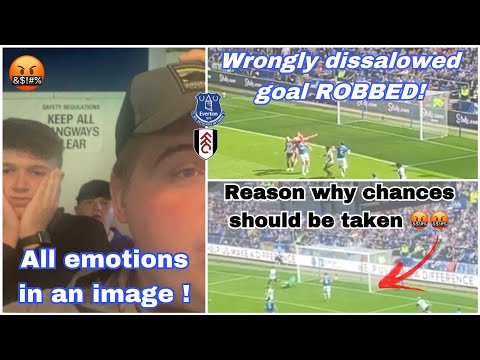 Everton 0-1 Fulham Matchday vlog *Fulham frustrate melted toffees!*