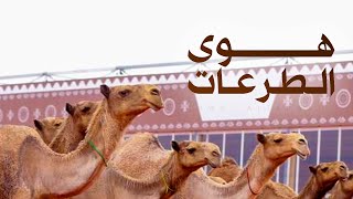 كلمات اغنية هوى الطرعات وليد الشهري