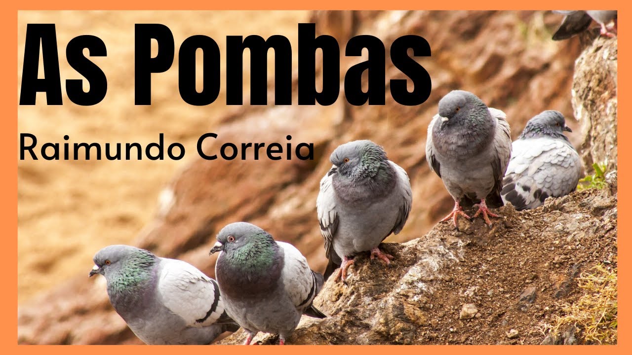 As pombas é um belo e maravilhoso poema de Raimundo Correia
