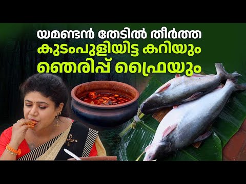 EP 143 | യമണ്ടൻ തേടിൽ തീർത്ത കുടംപുളിയിട്ട കറിയും, ഞെരിപ്പ് ഫ്രൈയും | Catfish | Thedu | Village Food