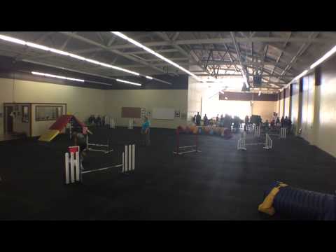 Bev and Pixie - Snooker (12") - 2015-05-17