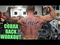 ROAD to WBFF PRO Vlog 12 | Back Workout | Starbucks