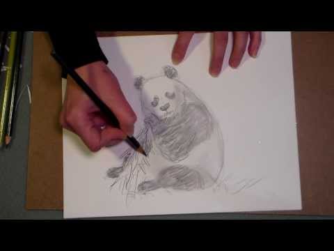 Let’s draw a panda! – The Frugal Crafter Blog