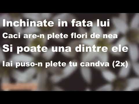 Ruxanda Covalschi - Profesorii mei versuri (negativ)