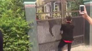 Billy-gia quý bị zyno nhốt ở trong cổng