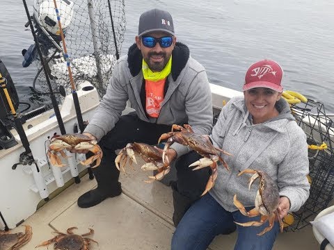 Review of the Scotty 2500 line puller. DUNGENESS CRAB Limits!!!