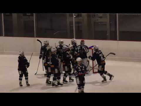 LIVE : Neuchâtel Hockey Academy - Lugano Ladies (Women's League)
