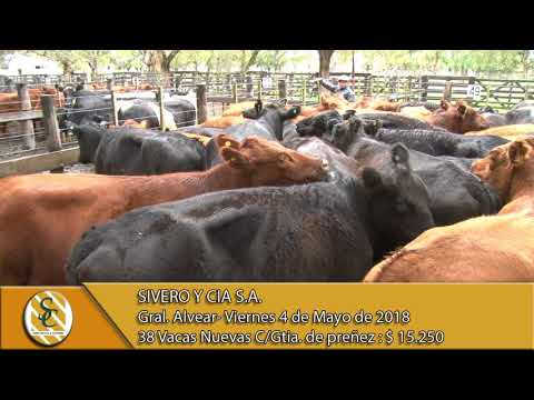 04-05-18 Venta de Vientres - Sivero y Cia S.A. - General Alvear.