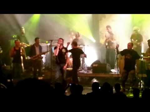 Percubaba - International Dub - Concert d'adieu à Saint malo (Nouvelle vague)