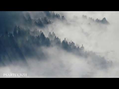 PSARTEKBZH - TAKE COFFEE