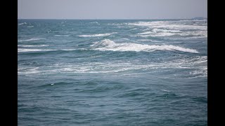 Riptide   (Lou Reed)