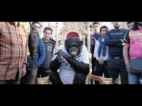 PNL - DA [Official Video]