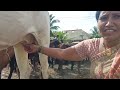 Cowprepare Milking Vlog
