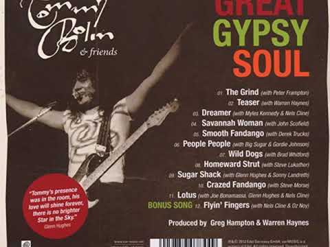 DREAMER - Myles Kennedy & Nels Cline (Tommy Bolin)