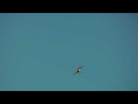 A tacut motoruuuu...