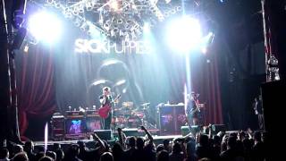 Sick Puppies-Should&#39;ve Known Better-Live