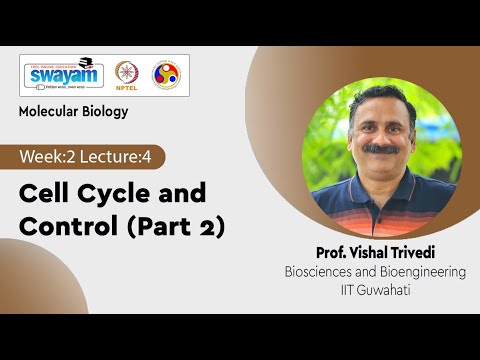 Molecular Biology Introduction Video