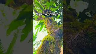 Download lagu 9 Causes of Sin #motivation #story #dailystory #short #shortvideo #quotes #viralvideo #fypシ mp3