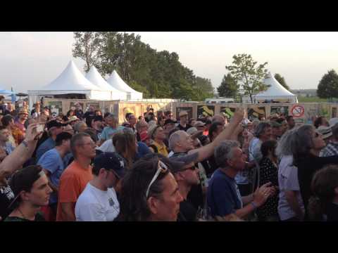 poundforabrownzappanale25