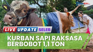 Rayakan Idul Adha, Raffi Ahmad & Nagita Slavina Dapat Kiriman Sapi Raksasa 1,1 Ton dari Juragan 99