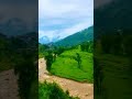 Nature Video Free Download Nature Video Download Mp4 4K Nature Video Free Download With Music