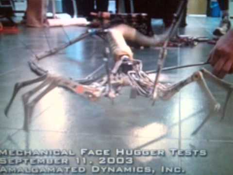 mechanical / animatronic Face hugger robot puppet