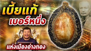 เบี้ยแก้หลวงพ่อพัก วัดโบสถ์ อ่างทอง l หยิบกล้องส่องพระ กับโทนบางแค 24/03/63