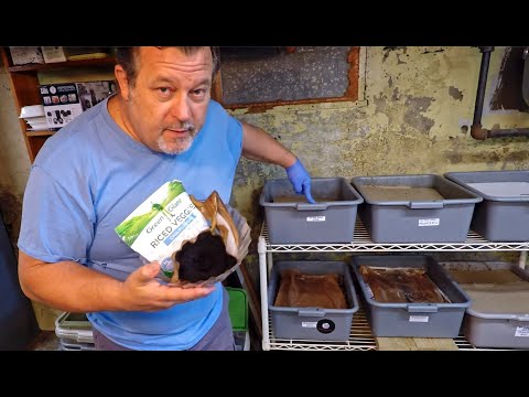 African nightcrawler bins at 150 days (foraging) & 32 days (composting) - worm farm vermicompost