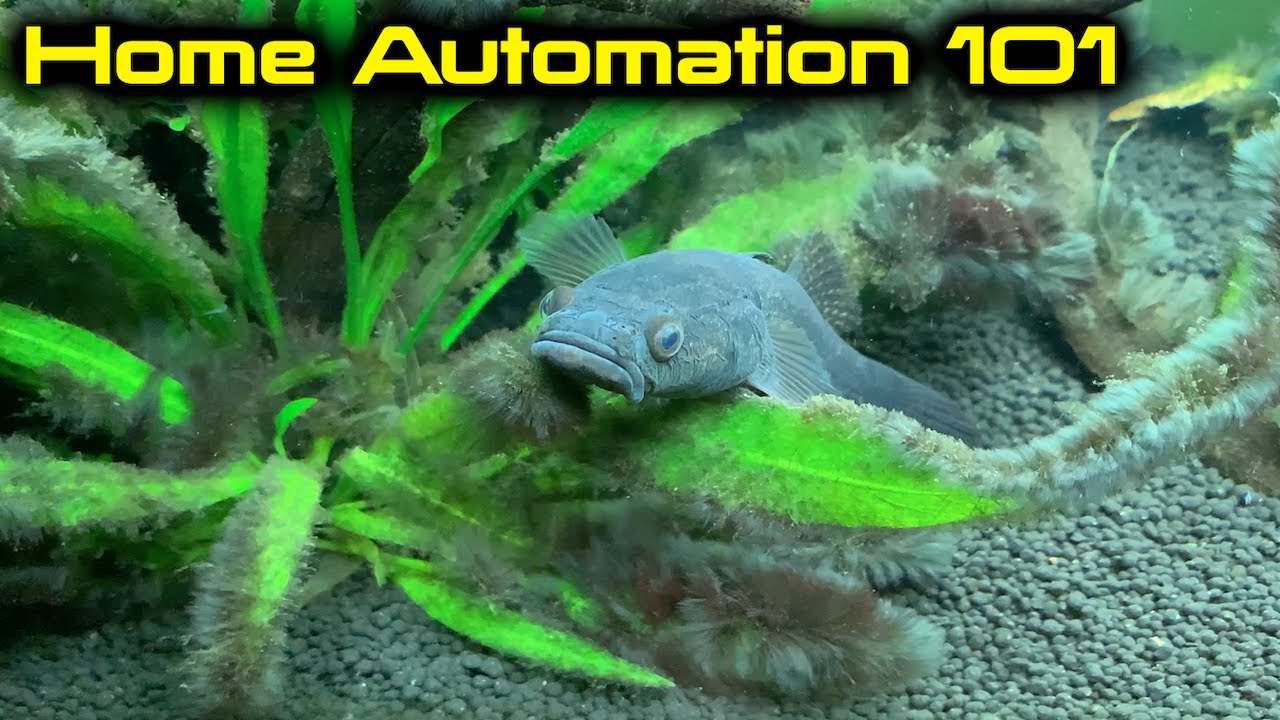 Home Automation 101: All Star