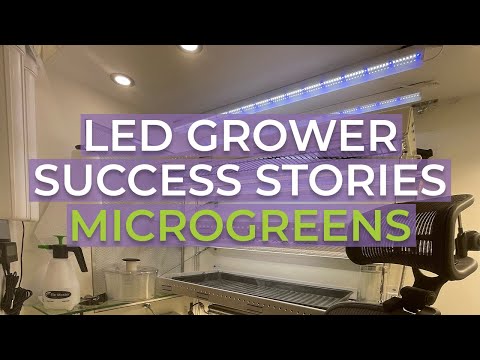 Active Grow T5 LED Grow Lights Vs. Fluorescent Shop Lights for Microgreens Grow Rack Setup