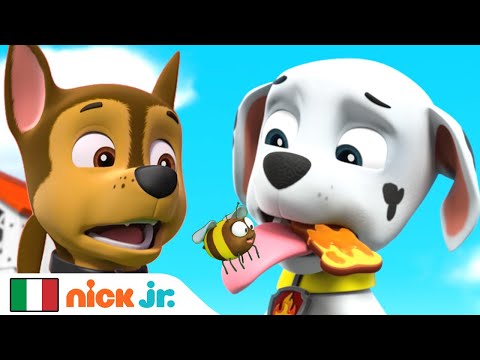 PAW Patrol - La Squadra dei Cuccioli | I Cuccioli trovano una nuova casa per le api! | Nick Jr.